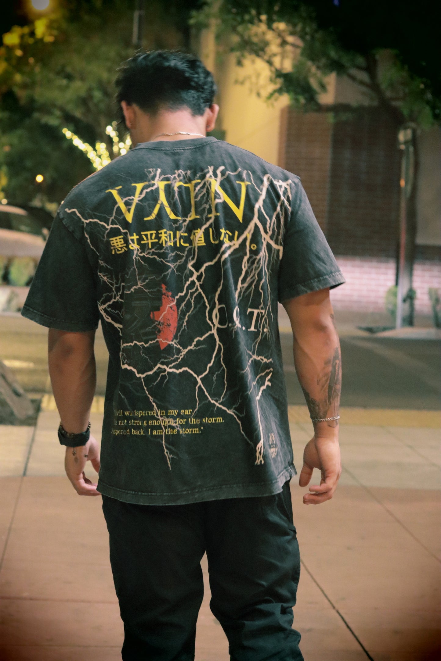 VYLN Arc.2 Vintage Tee V2